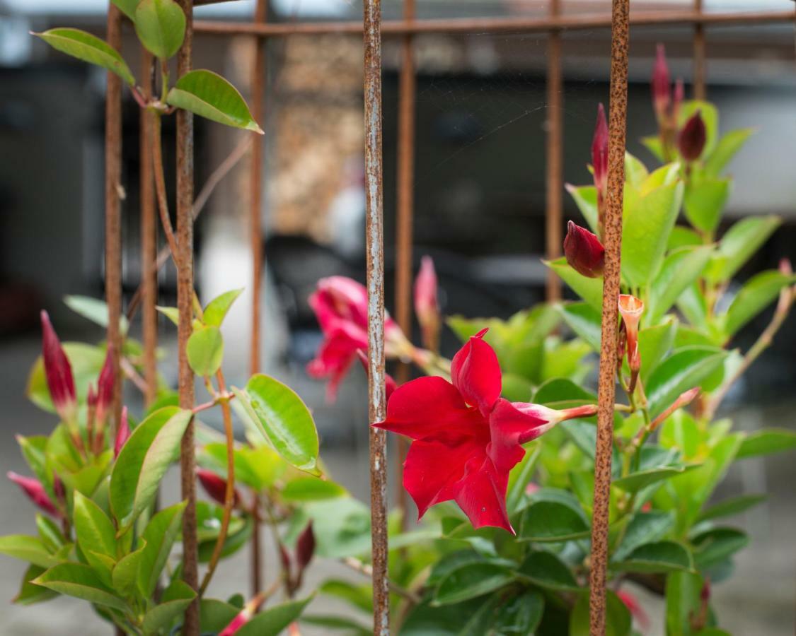 Grundfor Bed And Breakfast Ngoại thất bức ảnh